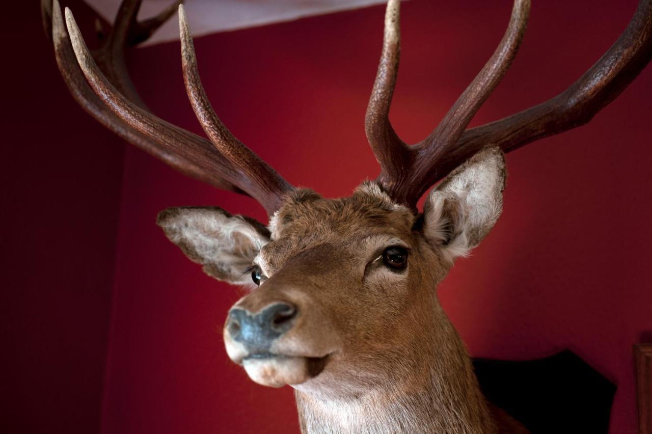 Langass Lodge Carinish エクステリア 写真